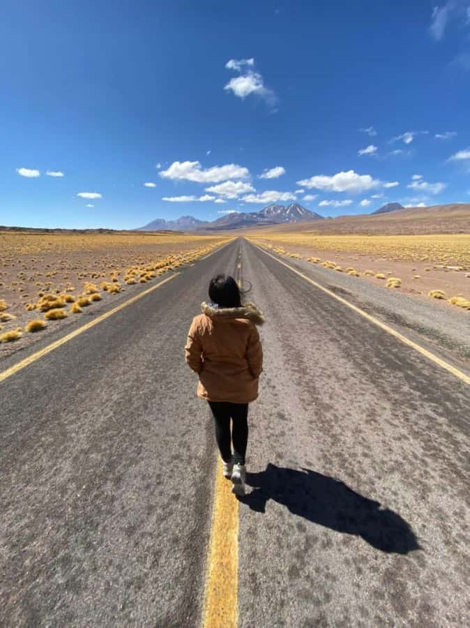 San Pedro de Atacama: Piedras Rojas and Lagunas Altiplanica - Key points to know before booking