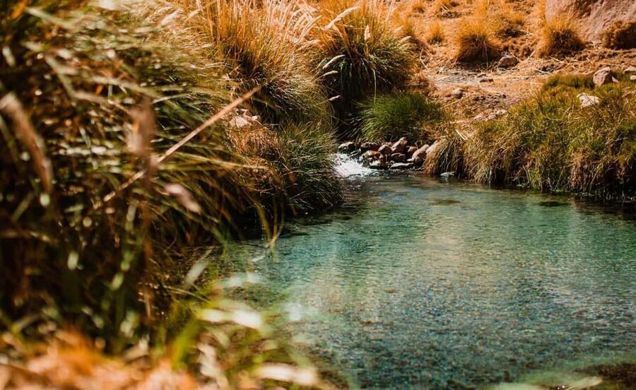 San Pedro de Atacama: Puritama Hot Springs - The real cost: $87 for an adult