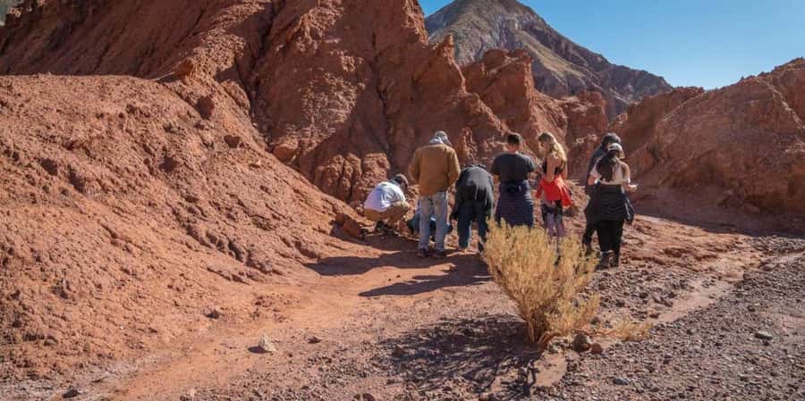 San Pedro de Atacama: Rainbow Valley & Good Herbs Tour - Who will enjoy this Atacama excursion