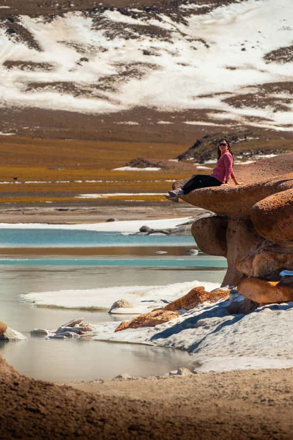 San Pedro de Atacama: Red Rocks & Altiplano Lagoons Day Trip - Key things to know before booking