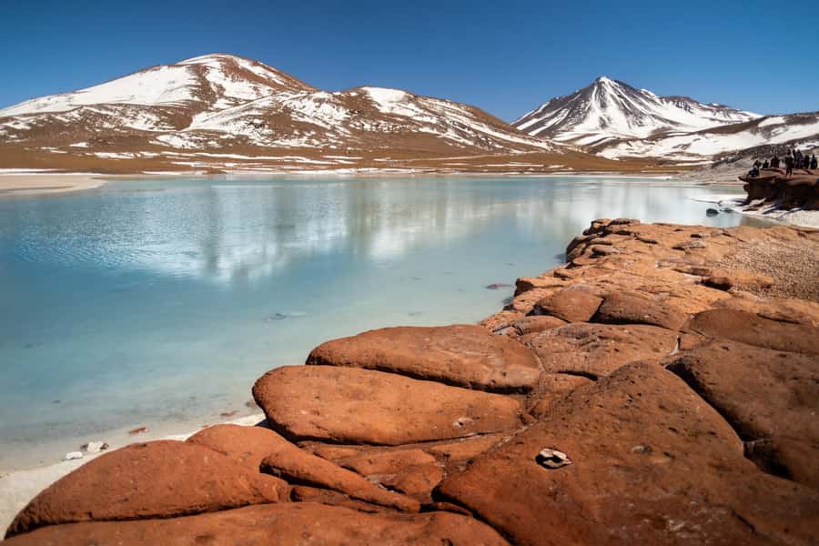 San Pedro de Atacama: Red Rocks & Altiplano Lagoons Day Trip - Chaxa Lagoon and the Atacama flamingos