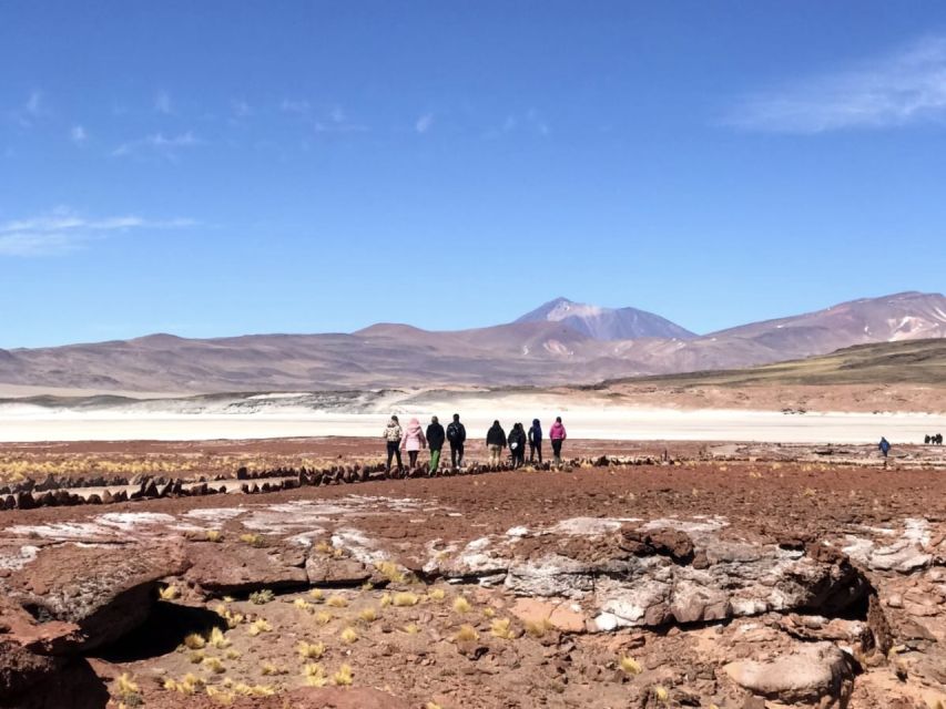 San Pedro de Atacama: Red Rocks & Altiplano Lagoons Day Trip - Miscanti and Miñiques, two high-altitude lagoons