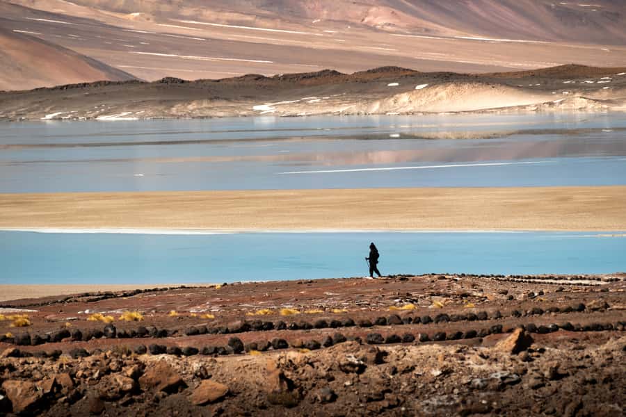 San Pedro de Atacama: Red Rocks & Altiplano Lagoons Day Trip - Transport, guides, and the rhythm of the day