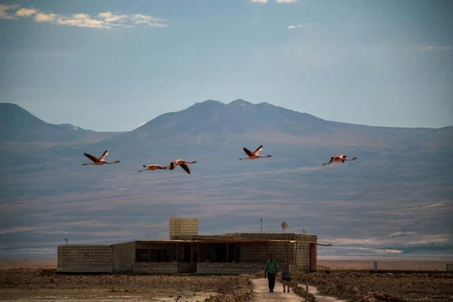 San Pedro de Atacama: Red Rocks and Aliplanic Lagoons - Miscanti and Miñiques: two lagoons beneath volcano country