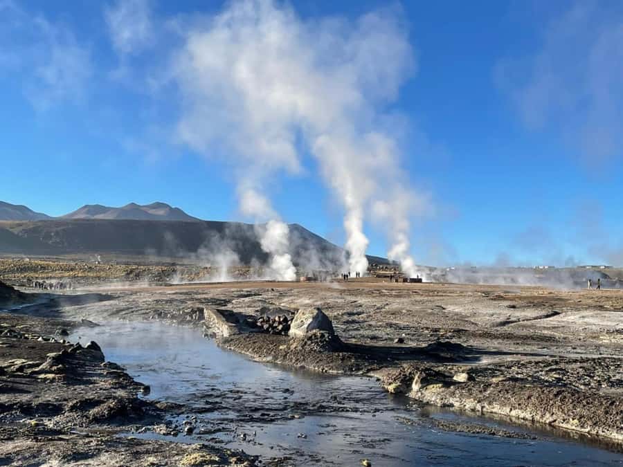 San Pedro de Atacama: Saver Pack Tatio Geysers + Moon Valley - Animals, plants, and the return toward Machuca