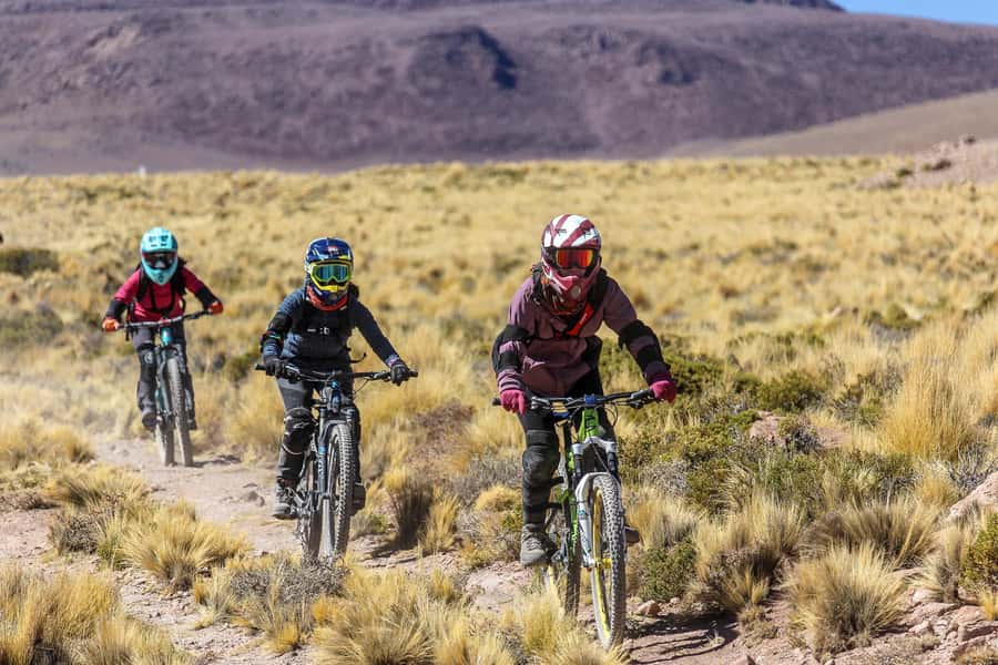 San Pedro de Atacama: Volcano Downhill Bike Tour - Fifteen miles over dirt, rock, and compact ground