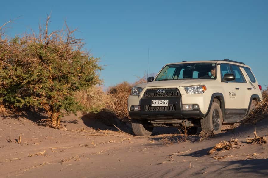 San Pedro de Atacama: Wildlife Safari and Photography Tour - The guide can make or break the outing
