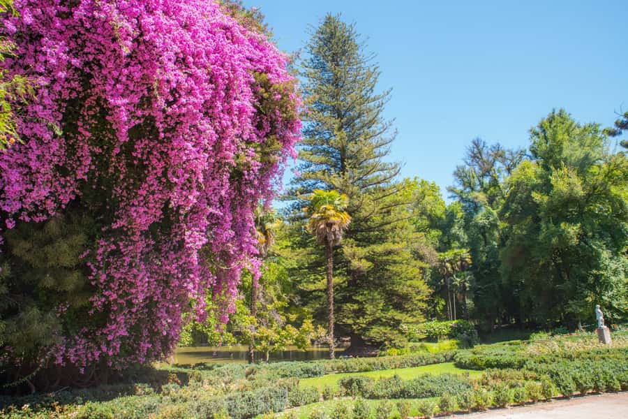 Santa Rita: Tour + Premium Wine Tasting + Private Transport - Why Santa Rita makes a good Santiago day trip