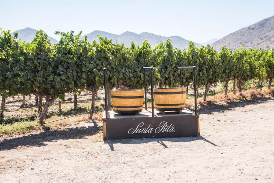 Santa Rita: Tour + Premium Wine Tasting + Private Transport - Entering Santa Rita’s historic estate