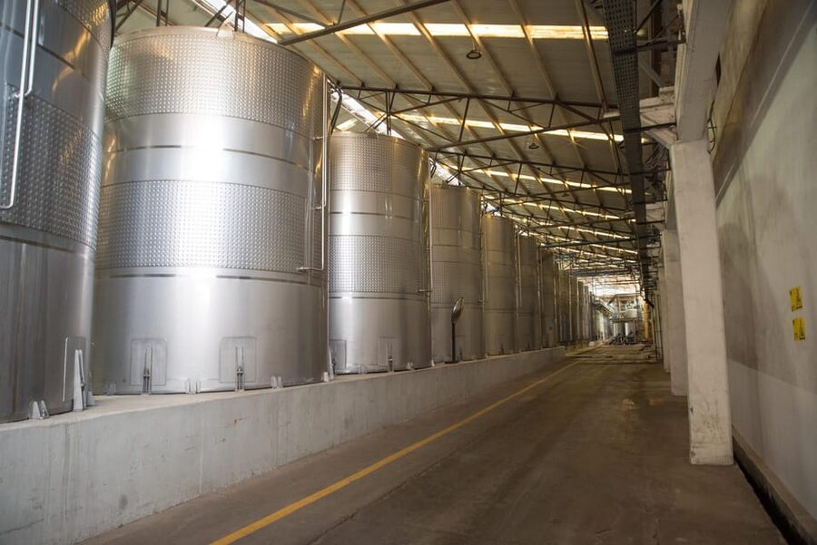 Santa Rita: Tour + Premium Wine Tasting + Private Transport - Four wines with cheese and dried fruit