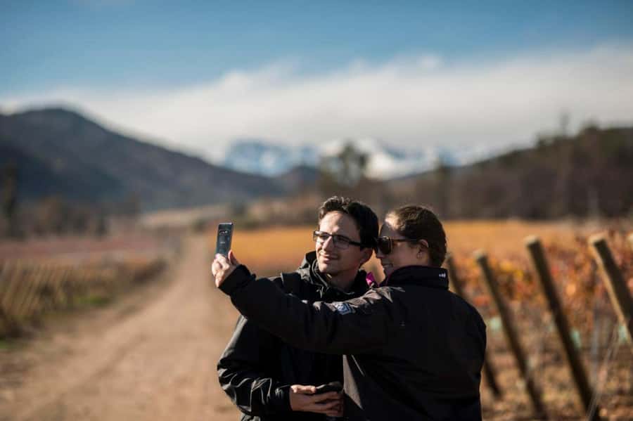 Santa Rita Vineyard Tour: History, Wine, and Outdoor Picnic - From Santiago to the Santa Rita estate