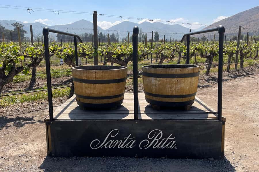 Santa Rita Vineyard Tour: History, Wine, and Outdoor Picnic - A 45-minute bicycle ride through the vines