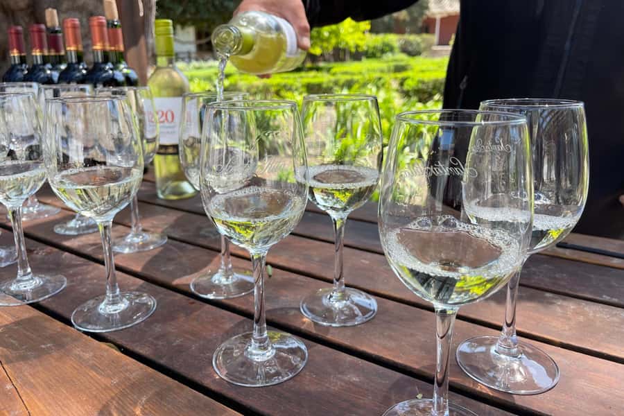 Santa Rita Vineyard Tour: History, Wine, and Outdoor Picnic - A picnic that makes the afternoon worthwhile