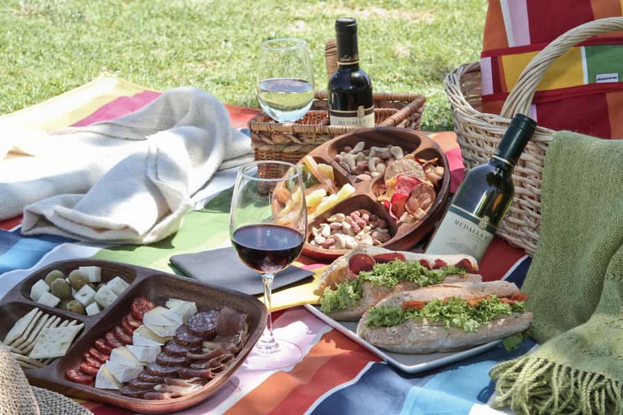 Santa Rita Vineyard Tour: History, Wine, and Outdoor Picnic - Is $123 a fair price?