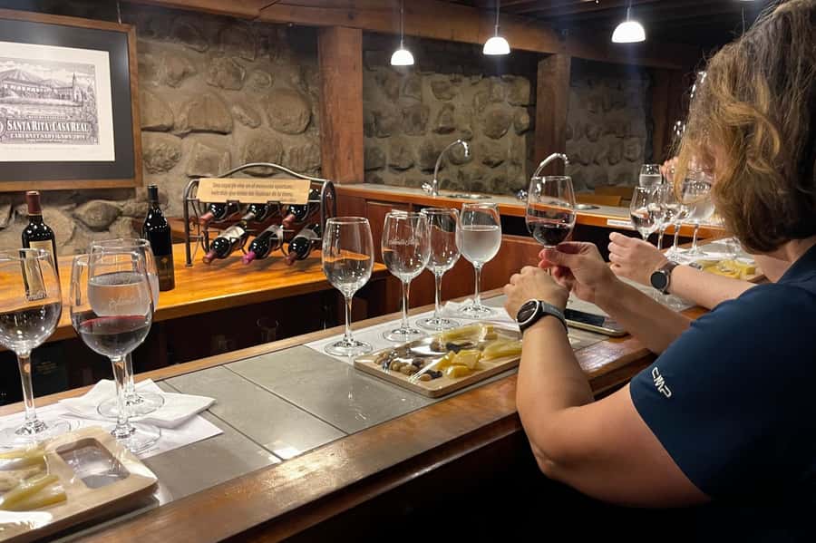 Santa Rita Vineyard Tour with Lunch, an Unforgettable Day! - Practical advice for a smoother day
