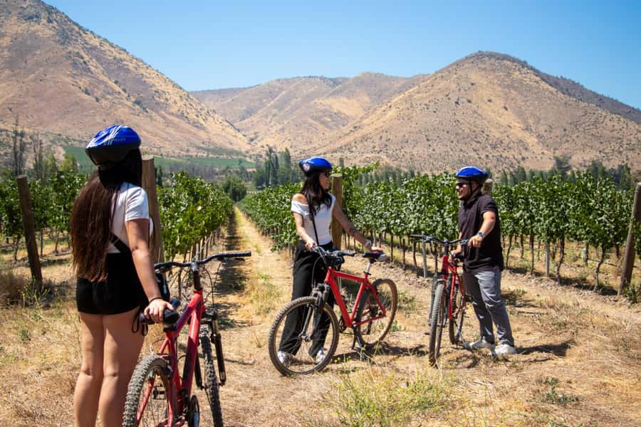 Santa Rita Vineyard Tour with Lunch, an Unforgettable Day! - The Andean Museum and its pre-Columbian collection