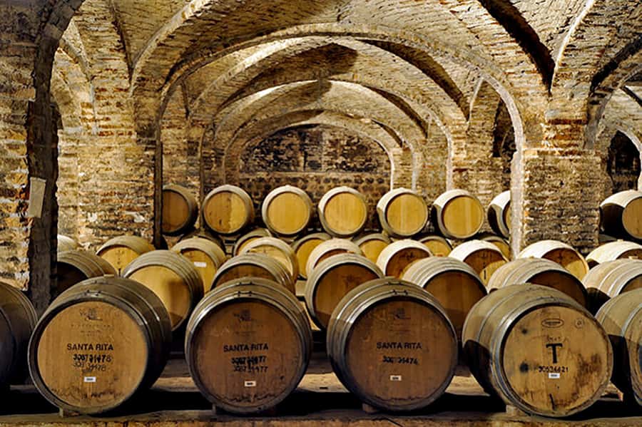 Santa Rita Vineyard Tour with Lunch, an Unforgettable Day! - Is $207 a fair price?
