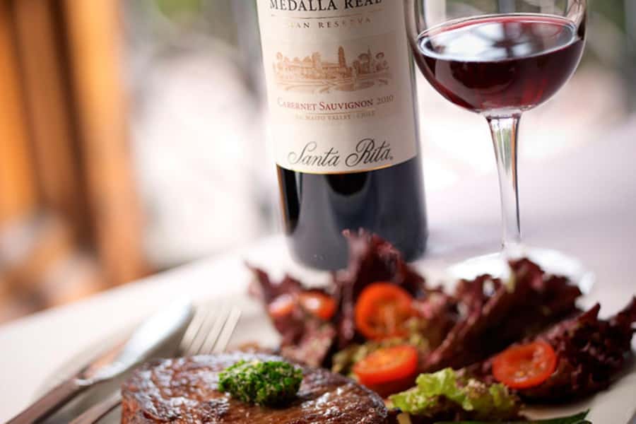Santa Rita Vineyard Tour with Lunch, an Unforgettable Day! - Who will enjoy this Santa Rita day trip?