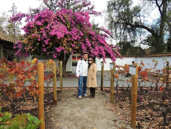 Santa Rita Winery Selection Tour - Key Points to Know Before You Book