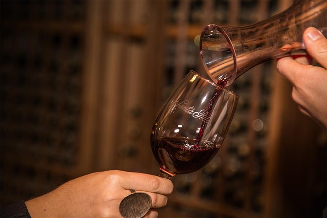 Santa Rita Winery Selection Tour - What the Santa Rita Selection Tour Actually Covers