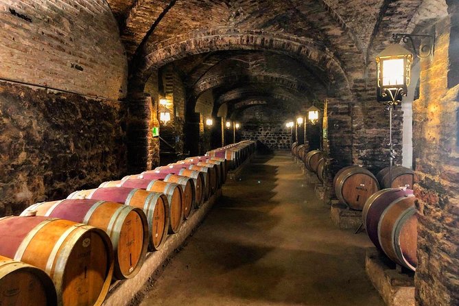 Santa Rita Winery Selection Tour - The Andean Museum and Santa Rita’s Cultural Side