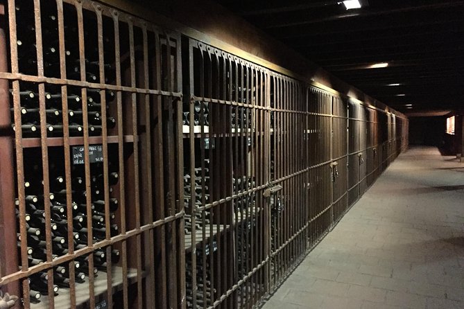 Santa Rita Winery Selection Tour - Who Will Like This Experience Most?