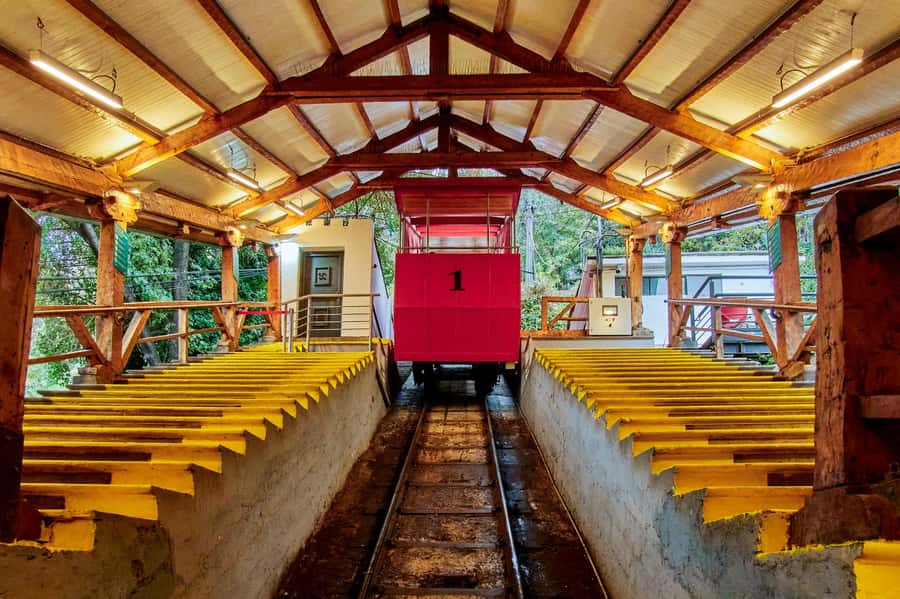 Santiago: 1-Day Hop-On Hop-Off Bus and Cable Car Ticket - Bellavista, Plaza de Armas, and Santiago’s historic core