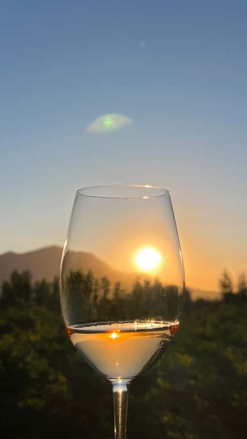 Santiago: Alyan Winery Sunset with Wine Tastings and Dinner - Cheese, ham, nuts, and the informal dinner