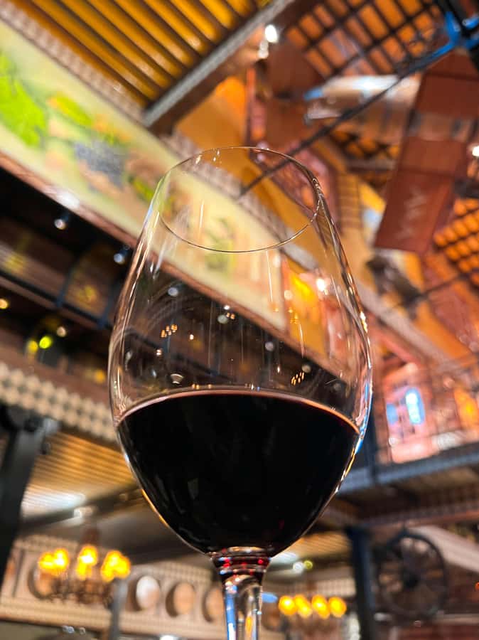 Santiago: Alyan Winery Sunset with Wine Tastings and Dinner - Group size, guide style, and the overall mood