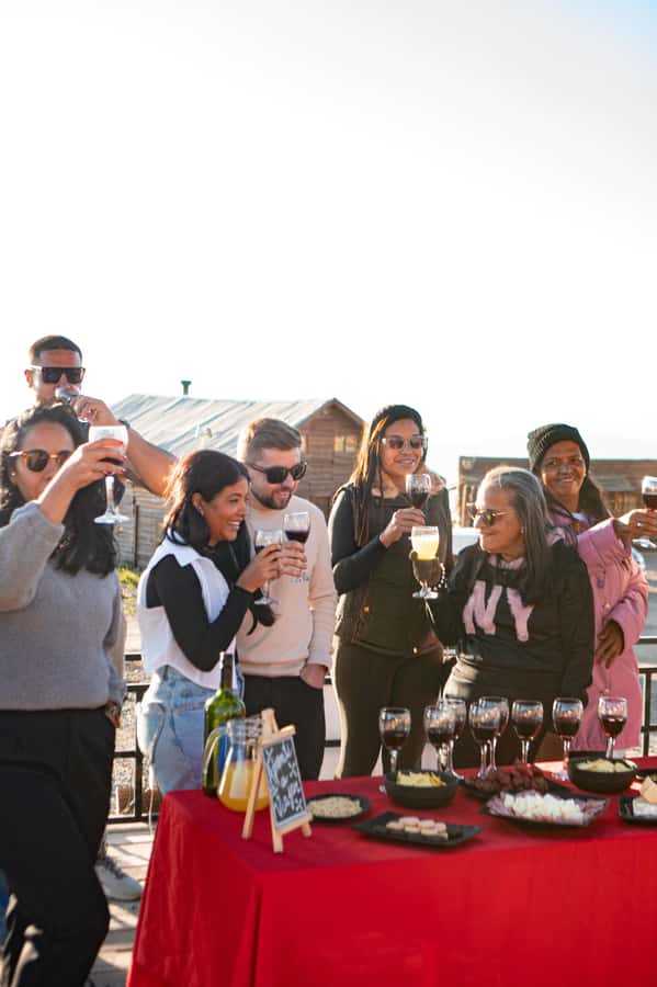 Santiago: Andes Mountains Sunset and Valle Nevado & Picnic - Is $41 a fair price?