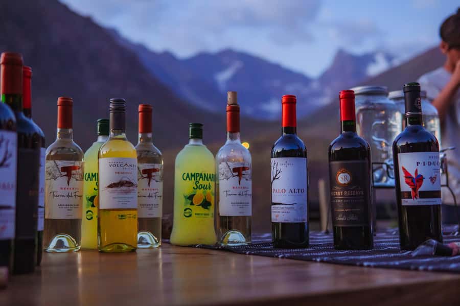 Santiago: Cajón del Maipo Hot Springs & Chilean Barbecue - A Chilean barbecue with wine and campfire