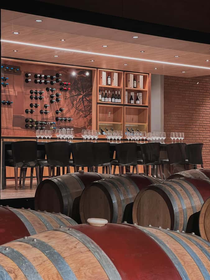 Santiago: Casa del Bosque Winery with Tasting and Lunch - What the $120 price includes
