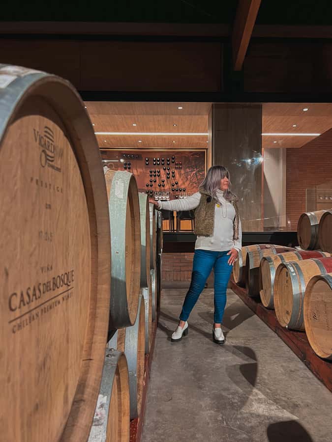 Santiago: Casa del Bosque Winery with Tasting and Lunch - Should you book Casa del Bosque?