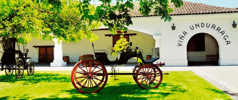 Santiago: Concha y Toro and Undurraga Vineyards Tour - Two wineries, one long day in Maipo Valley