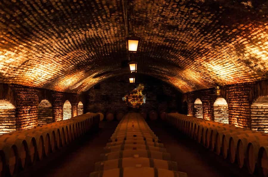 Santiago: Concha y Toro and Undurraga Vineyards Tour - The 90-minute lunch break