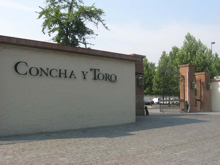 Santiago: Concha y Toro and Undurraga Vineyards Tour - What the $76 price really buys