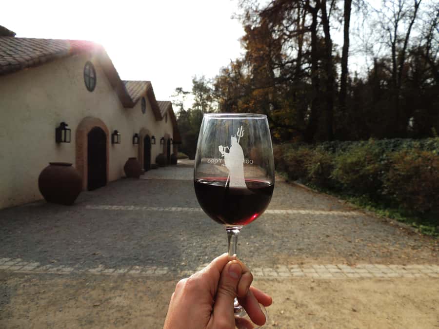 Santiago: Concha y Toro and Undurraga Vineyards Tour - Starting at Viña Undurraga