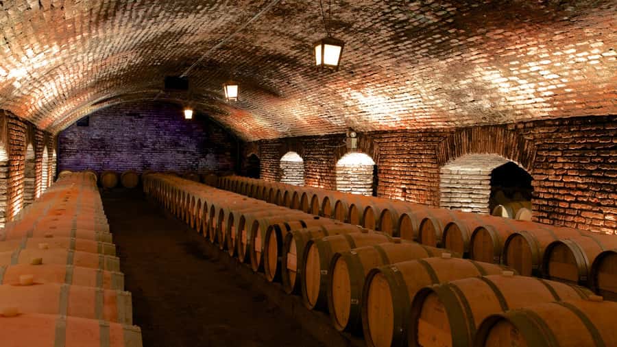 Santiago: Concha y Toro Vineyard Tour w/ Transfer & Tasting - Key points at a glance