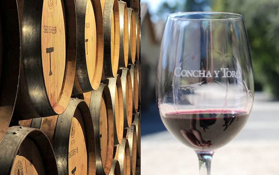 Santiago: Concha y Toro Vineyard Tour w/ Transfer & Tasting - The Casillero del Diablo cellar and its famous legend
