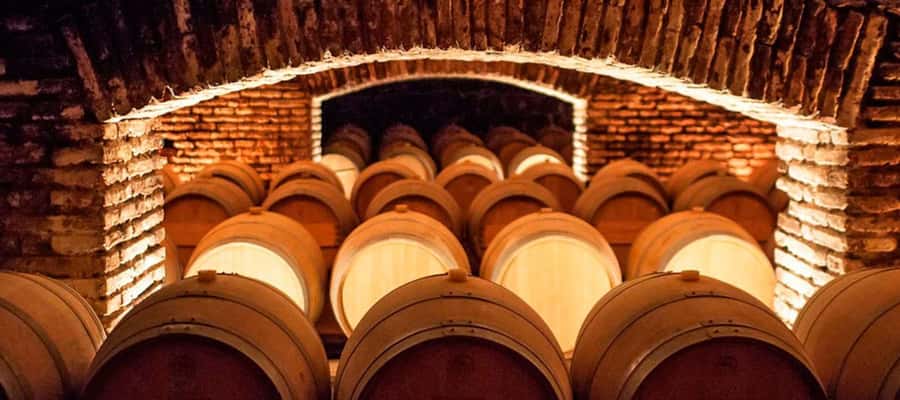 Santiago: Concha y Toro Winery 4–Hour Tour & Sommelier Class - Key Points Before You Book