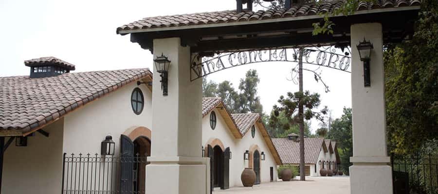 Santiago: Concha y Toro Winery 4–Hour Tour & Sommelier Class - Who Will Enjoy This Best?