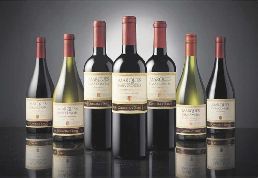 Santiago: Concha y Toro Winery 4–Hour Tour & Sommelier Class - The Old Pirque Vineyard and Maipo Valley View