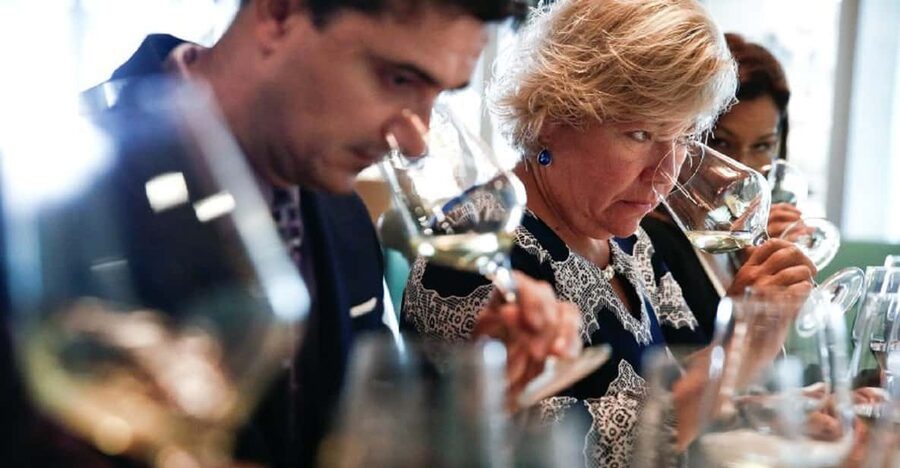 Santiago: Concha y Toro Winery 4–Hour Tour & Sommelier Class - Language and Service Need Careful Checking