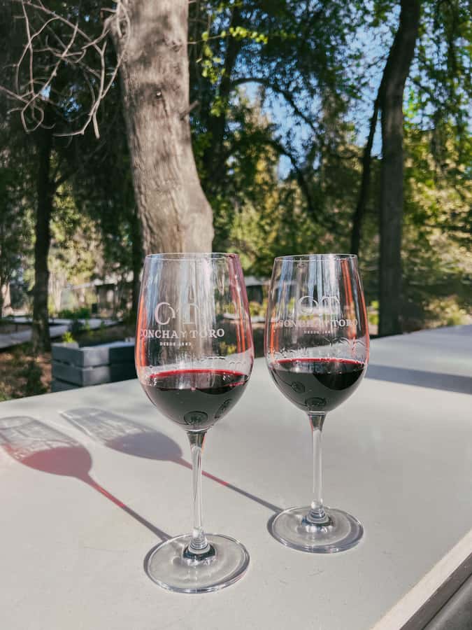 Santiago: Concha y Toro with transfer, tasting & gift cup - Language, cancellation, and useful planning notes