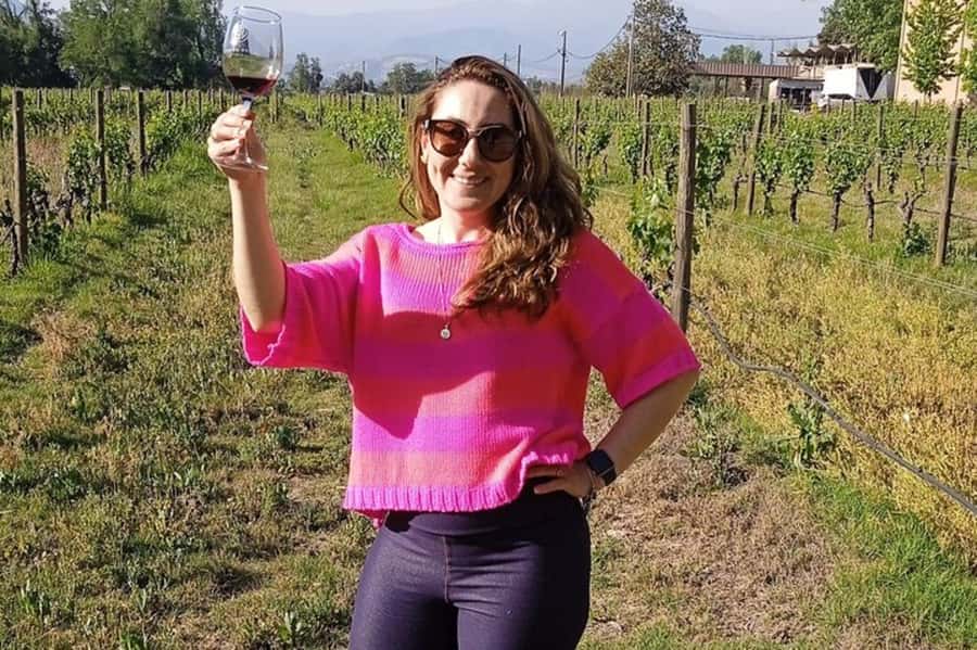 Santiago: Cousiño Macul Vineyard Premium Tasting Tour - Key details at a glance