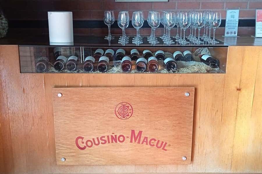 Santiago: Cousiño Macul Vineyard Premium Tasting Tour - Should you book the Cousiño Macul tasting?
