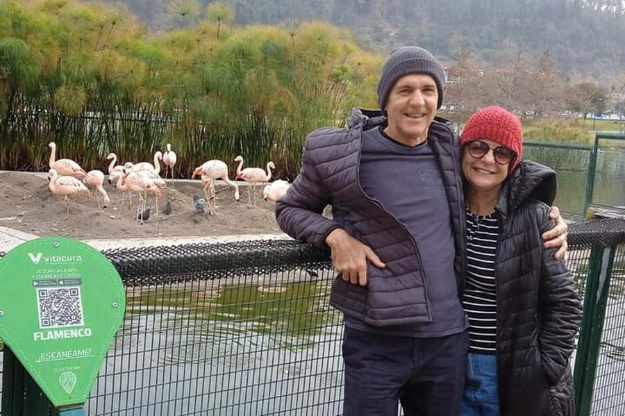 Santiago de Chile: Half-Day City Tour with Local Cuisine - Chilean art inside the Fine Arts Museum
