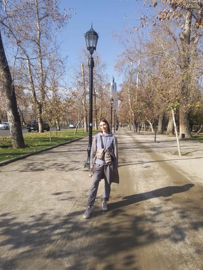 Santiago: Guided Walking Tour of the Historical Old Town - Santa Lucia Hill and the city view