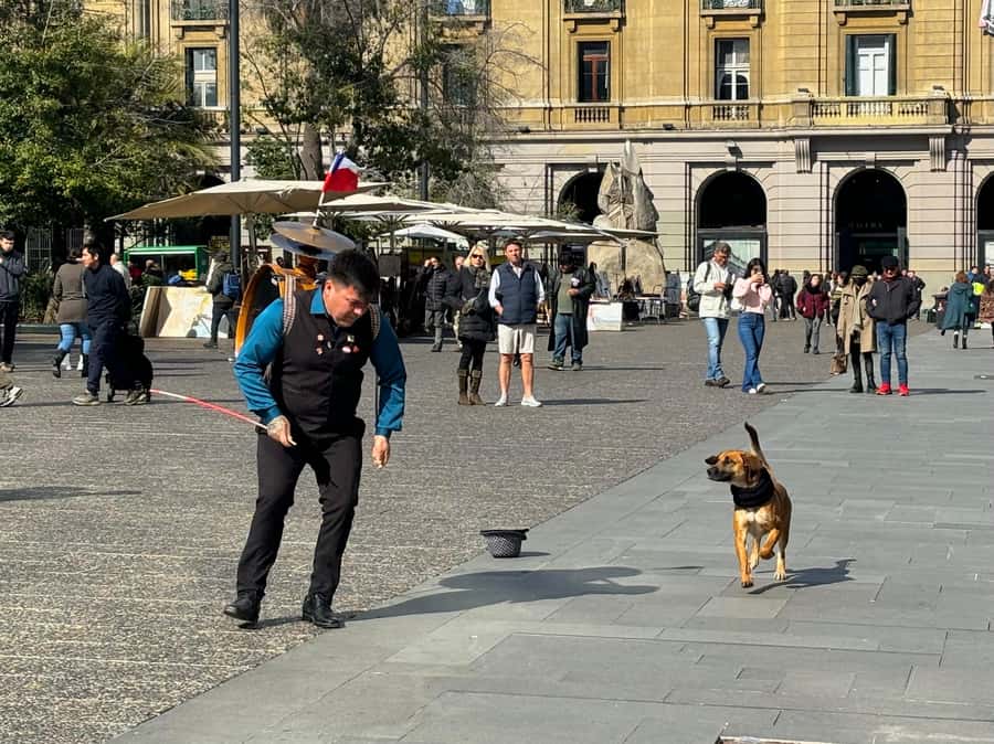 Santiago Half-Day Walking Tour with Hotel Pick up & Brunch - Key points at a glance
