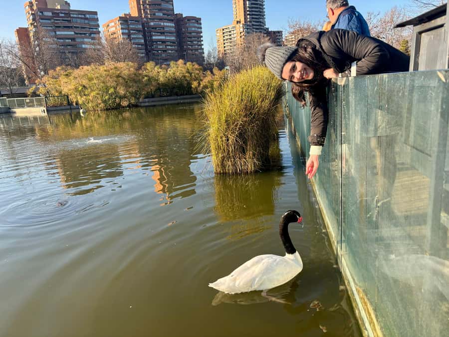 Santiago Half-Day Walking Tour with Hotel Pick up & Brunch - How much value do you get for $48?